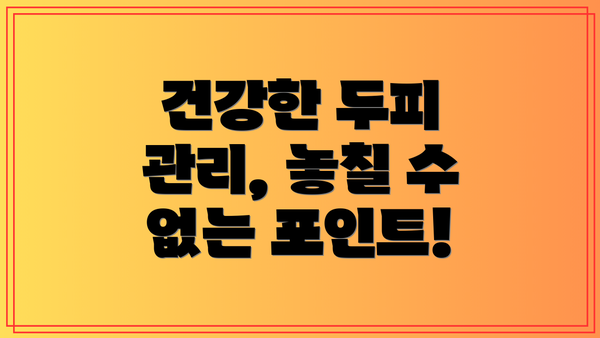 건강한 두피 관리, 놓칠 수 없는 포인트!