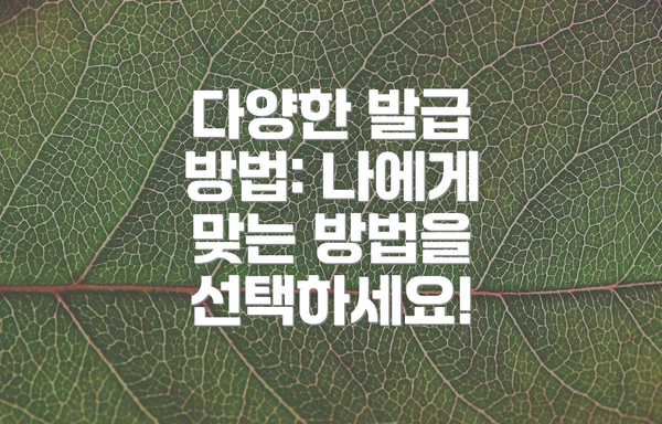다양한 발급 방법: 나에게 맞는 방법을 선택하세요!