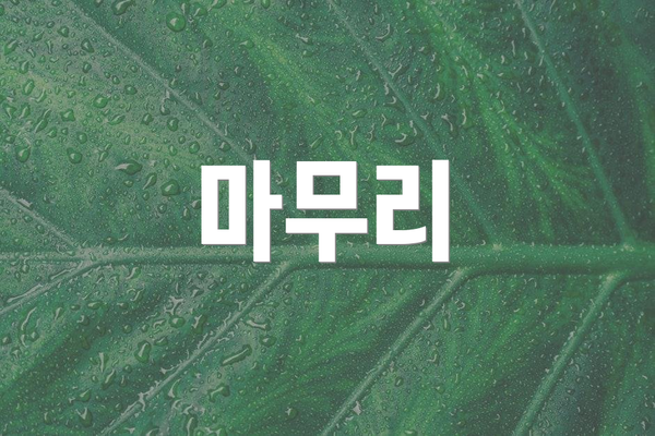 마무리