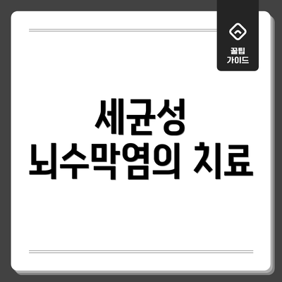 세균성 뇌수막염의 치료