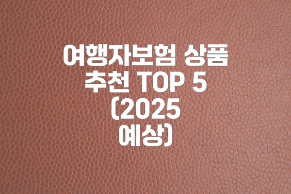 여행자보험 상품 추천 TOP 5 (2025 예상)
