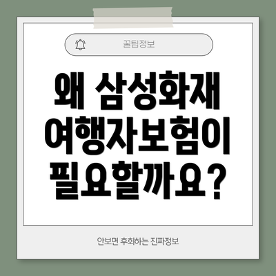 왜 삼성화재 여행자보험이 필요할까요?