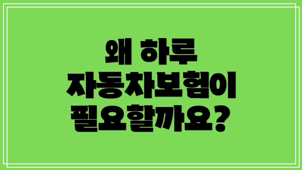왜 하루 자동차보험이 필요할까요?