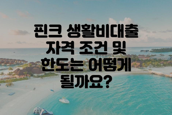 핀크 생활비대출 자격 조건 및 한도는 어떻게 될까요?