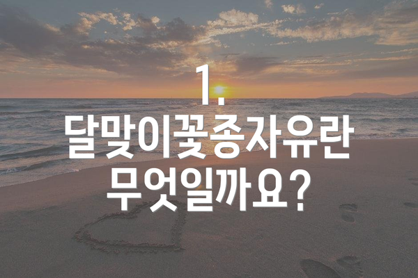 1. 달맞이꽃종자유란 무엇일까요?