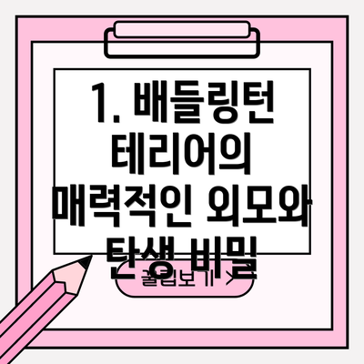 1. 배들링턴 테리어의 매력적인 외모와 탄생 비밀