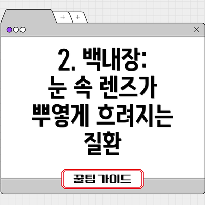 2. 백내장: 눈 속 렌즈가 뿌옇게 흐려지는 질환