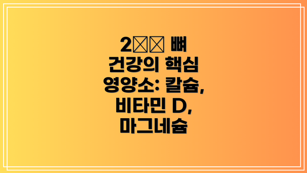 2️⃣ 뼈 건강의 핵심 영양소: 칼슘, 비타민 D, 마그네슘