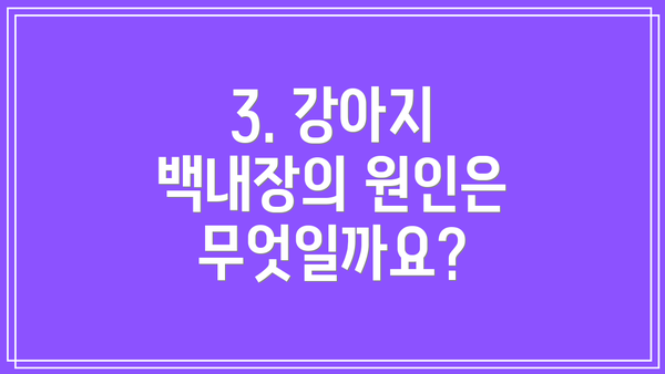 3. 강아지 백내장의 원인은 무엇일까요?