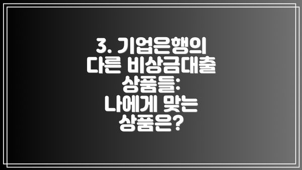 3. 기업은행의 다른 비상금대출 상품들:  나에게 맞는 상품은?