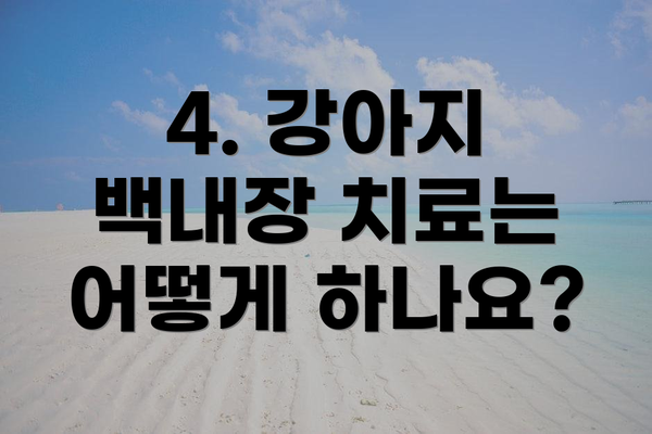 4. 강아지 백내장 치료는 어떻게 하나요?
