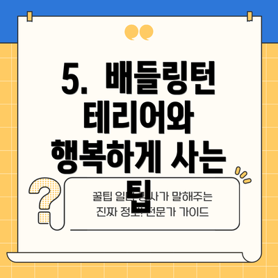 5.  배들링턴 테리어와 행복하게 사는 팁
