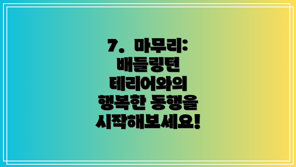 7.  마무리:  배들링턴 테리어와의 행복한 동행을 시작해보세요!
