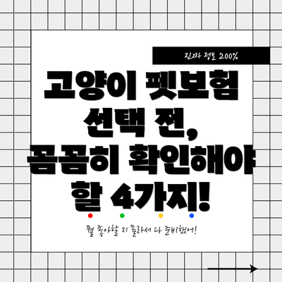 고양이 펫보험 선택 전, 꼼꼼히 확인해야 할 4가지!