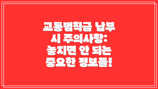 교통범칙금 납부 시 주의사항: 놓치면 안 되는 중요한 정보들!