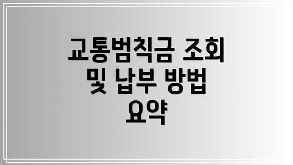 교통범칙금 조회 및 납부 방법 요약