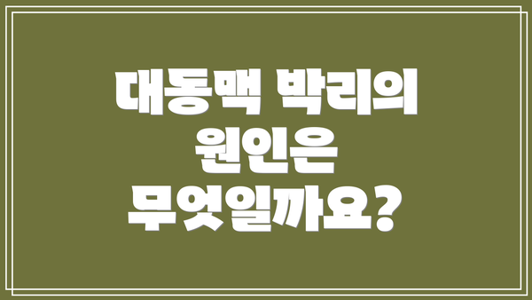 대동맥 박리의 원인은 무엇일까요?