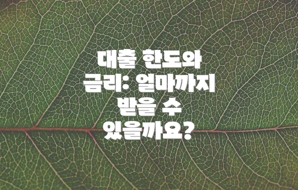 대출 한도와 금리: 얼마까지 받을 수 있을까요?