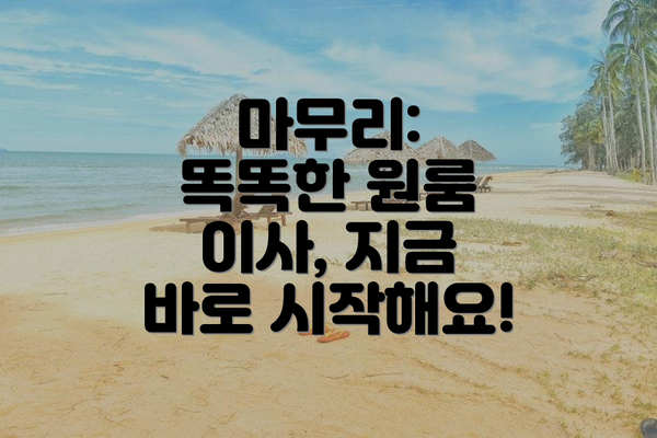 마무리:  똑똑한 원룸 이사, 지금 바로 시작해요!