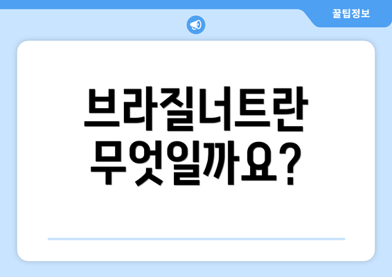 브라질너트란 무엇일까요?
