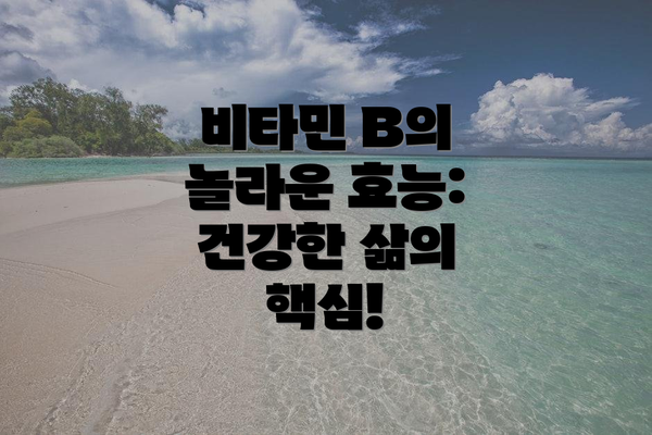 비타민 B의 놀라운 효능: 건강한 삶의 핵심!