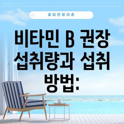 비타민 B 권장 섭취량과 섭취 방법: