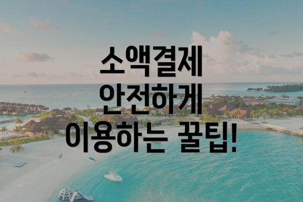 소액결제 안전하게 이용하는 꿀팁!