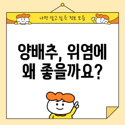 양배추, 위염에 왜 좋을까요?