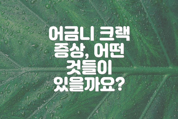 어금니 크랙 증상, 어떤 것들이 있을까요?