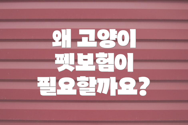 왜 고양이 펫보험이 필요할까요?