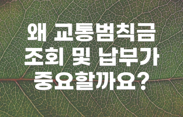 왜 교통범칙금 조회 및 납부가 중요할까요?