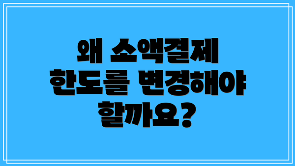 왜 소액결제 한도를 변경해야 할까요?