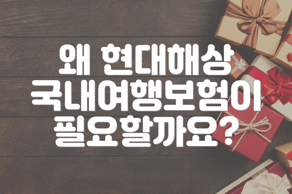 왜 현대해상 국내여행보험이 필요할까요?