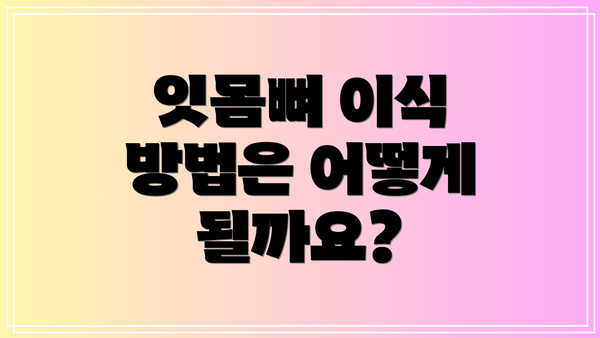 잇몸뼈 이식 방법은 어떻게 될까요?