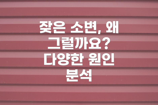잦은 소변, 왜 그럴까요? 다양한 원인 분석
