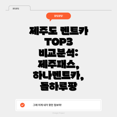 제주도 렌트카 TOP3 비교분석: 제주패스, 하나렌트카, 돌하루팡