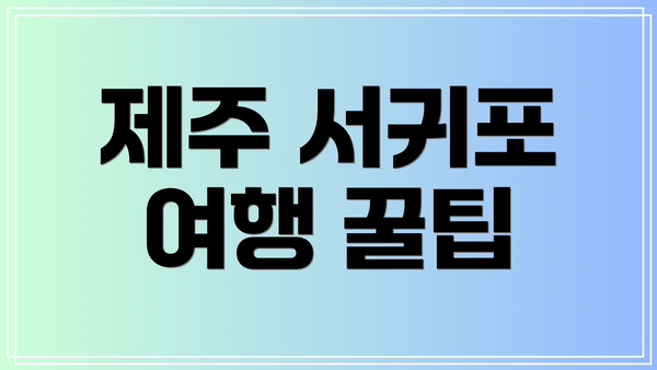 제주 서귀포 여행 꿀팁