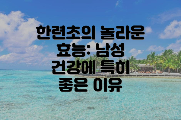 한련초의 놀라운 효능: 남성 건강에 특히 좋은 이유