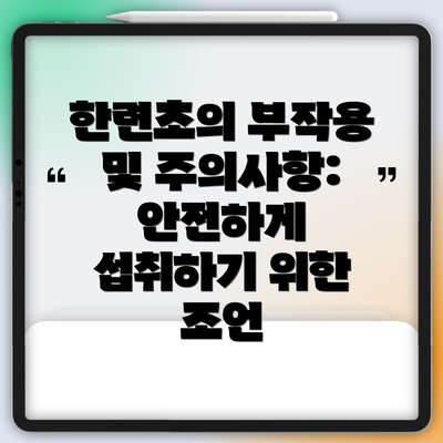 한련초의 부작용 및 주의사항: 안전하게 섭취하기 위한 조언