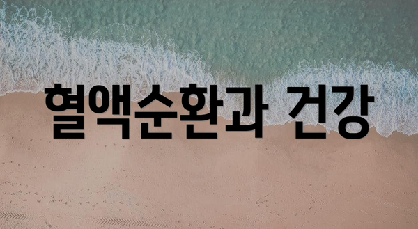 혈액순환과 건강