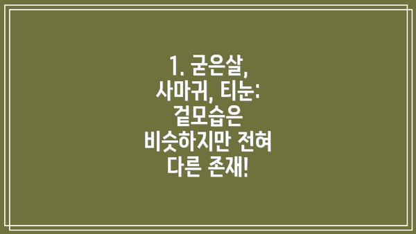 1. 굳은살, 사마귀, 티눈: 겉모습은 비슷하지만 전혀 다른 존재!