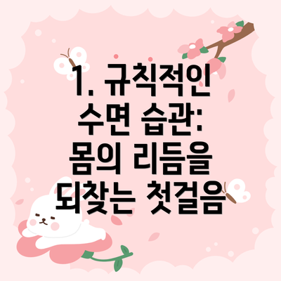 1. 규칙적인 수면 습관: 몸의 리듬을 되찾는 첫걸음