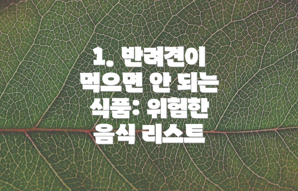 1. 반려견이 먹으면 안 되는 식품: 위험한 음식 리스트