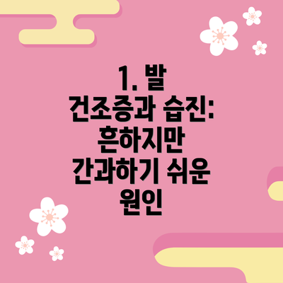 1. 발 건조증과 습진: 흔하지만 간과하기 쉬운 원인