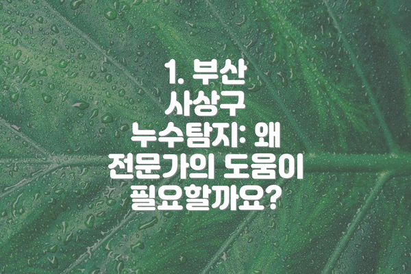 1. 부산 사상구 누수탐지: 왜 전문가의 도움이 필요할까요?