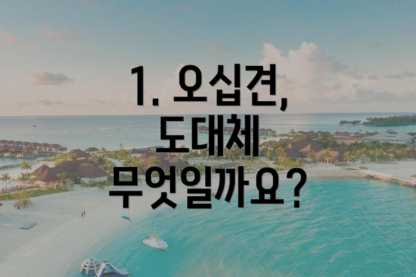 1. 오십견, 도대체 무엇일까요?