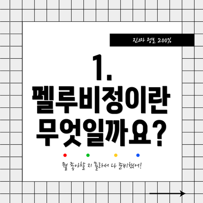 1. 펠루비정이란 무엇일까요?