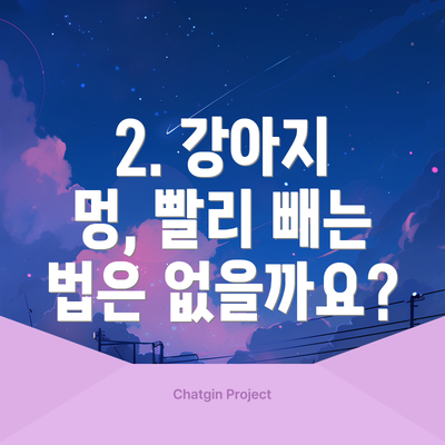 2. 강아지 멍, 빨리 빼는 법은 없을까요?