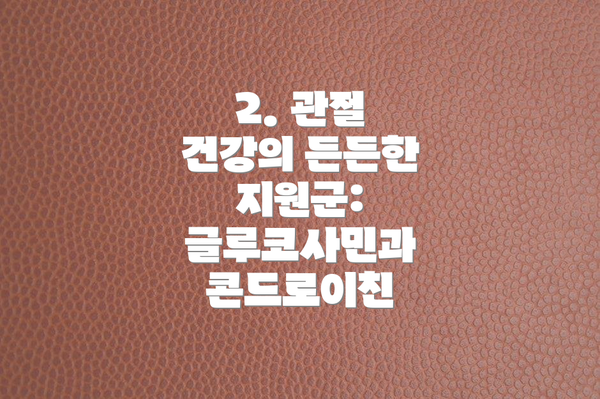 2. 관절 건강의 든든한 지원군: 글루코사민과 콘드로이친