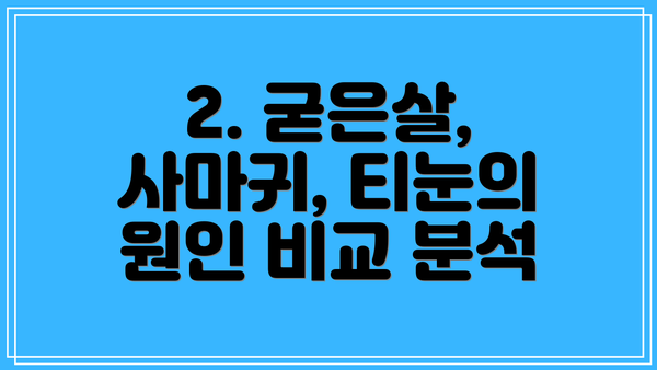 2. 굳은살, 사마귀, 티눈의 원인 비교 분석